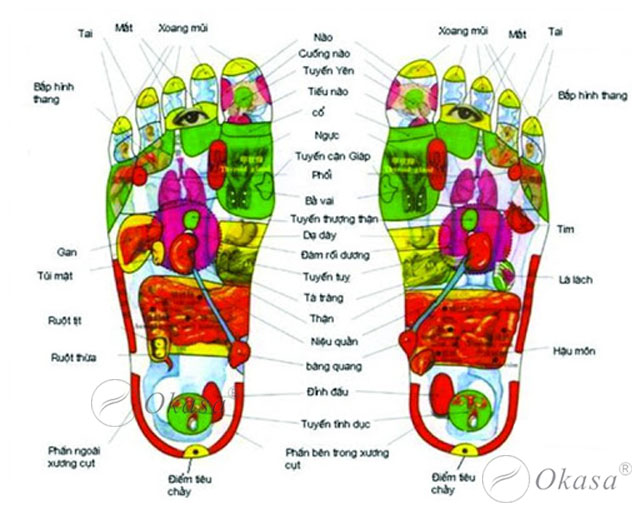 Một số kỹ thuật massage chân bạn nên biết