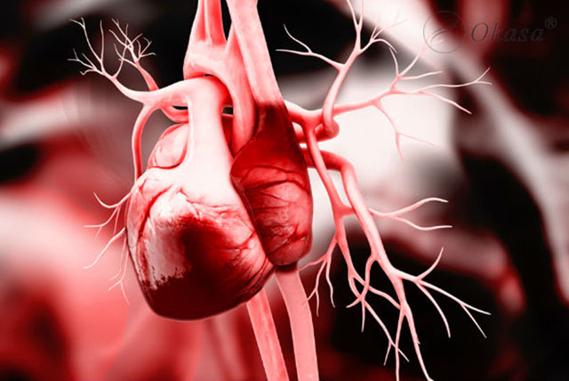 Mức độ nguy hiểm khi ngừng tim đột ngột