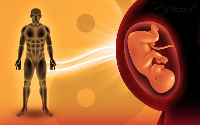 Nguyên khí là gì? Hao tổn nguyên khí ảnh hưởng gì?