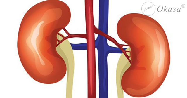 Nguyên khí là gì? Hao tổn nguyên khí ảnh hưởng gì?