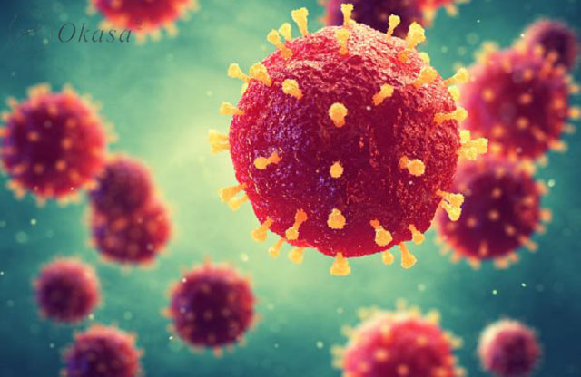 Nguyên nhân gây bệnh viêm cơ tim cấp do virus