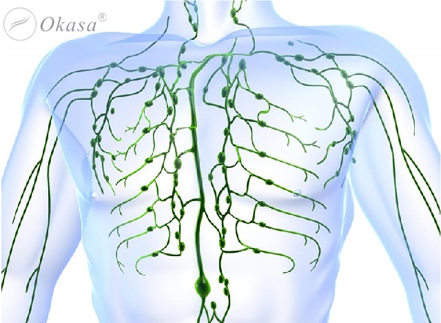 Những lợi ích từ việc massage bầu ngực