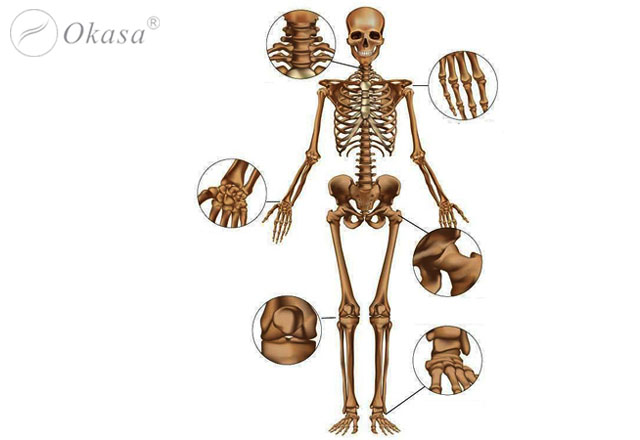Phản xạ liệu pháp tác dụng tới các hệ cơ quan