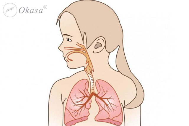 Phản xạ liệu pháp tác dụng tới các hệ cơ quan