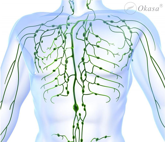 Phương pháp massage hệ bạch huyết