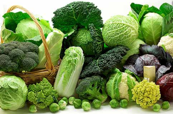 rối loạn thần kinh thực vật nên ăn gì