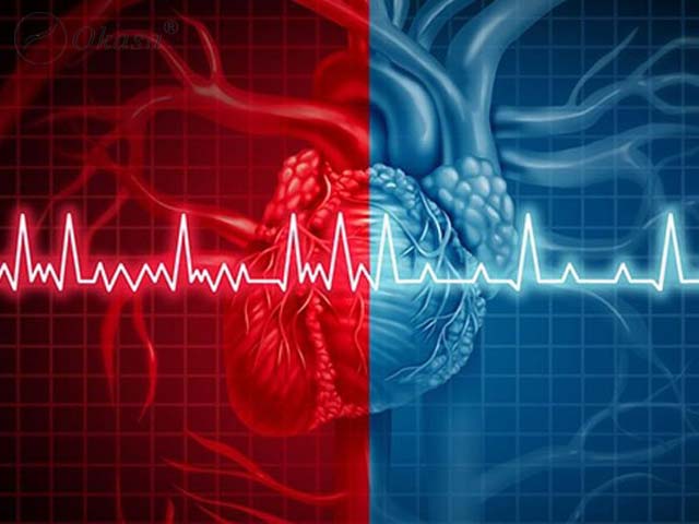 Bệnh rung nhĩ và kỹ thuật bít tiểu nhĩ phòng tránh biến chứng tắc mạch