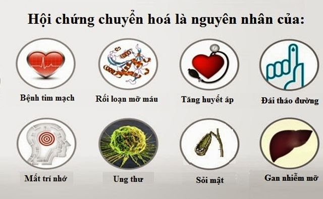 Hiểu về hội chứng chuyển hóa
