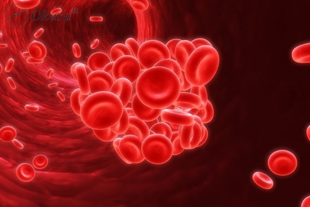 Tìm hiểu về cơ chế hình thành huyết khối