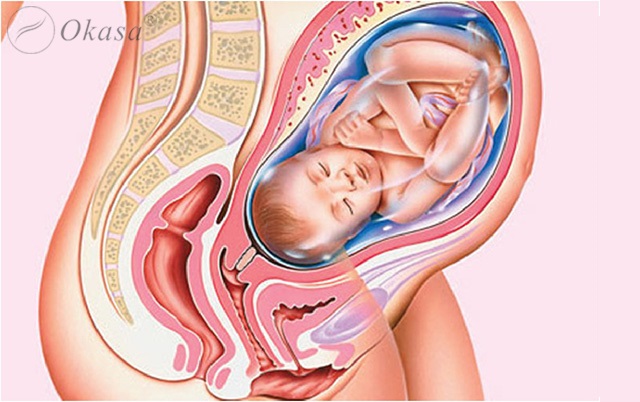 Tác động của trọng lực lên cơ thể