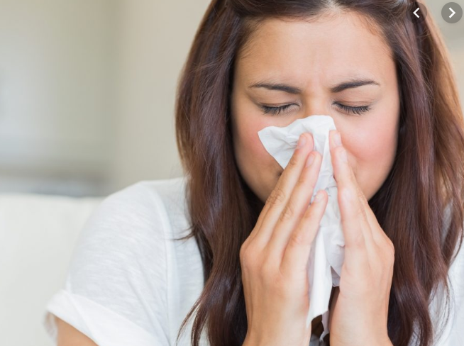 tác dụng của cây cỏ xước là gì