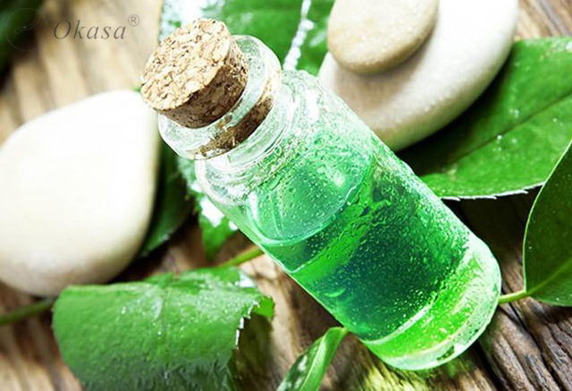 Tác dụng của tinh dầu trà xanh