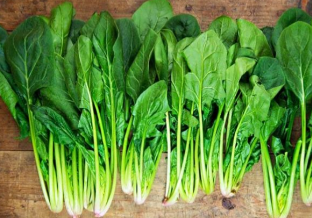 Thoái hóa khớp gối nên ăn các loại rau