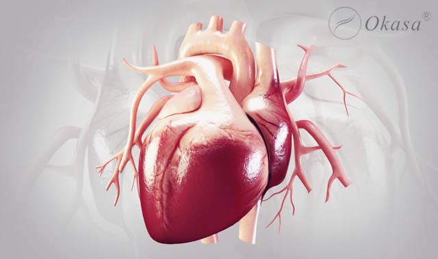 Thực đơn ăn uống khoa học cho người bệnh tim