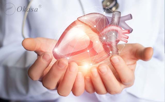 Tìm hiểu cấu tạo màng tim và bệnh viêm màng ngoài tim
