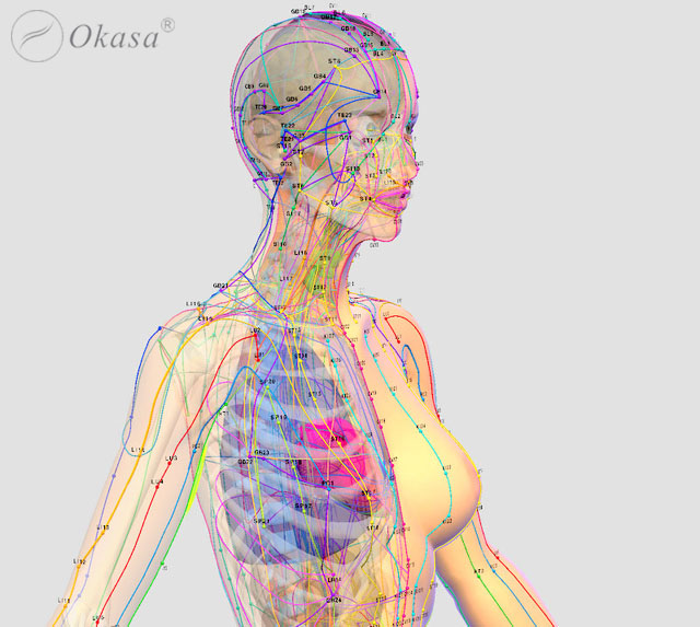 Tìm hiểu hệ kinh lạc trong cơ thể