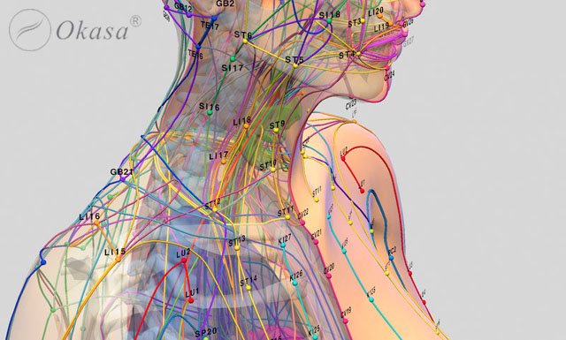 Tìm hiểu hệ kinh lạc trong cơ thể