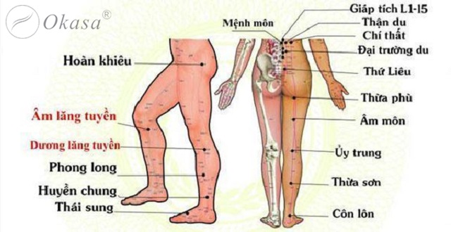 Tìm hiểu phương pháp massage trị bệnh