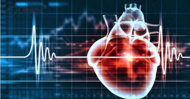 Tìm hiểu phương pháp siêu âm tim