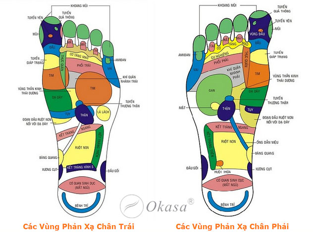 Tìm hiểu ứng dụng của liệu pháp phản xạ