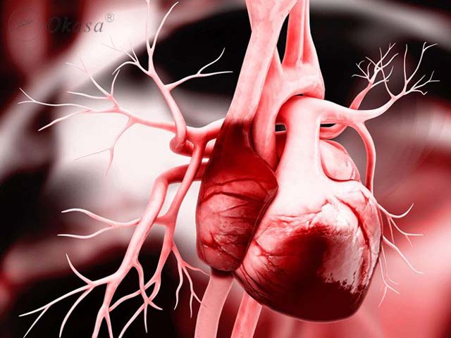 Tìm hiểu về bệnh viêm màng ngoài tim cấp