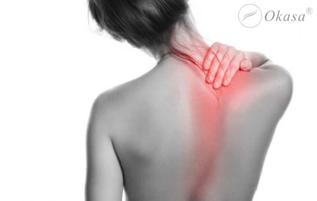 Tìm hiểu về đặc điểm của các đốt sống ngực