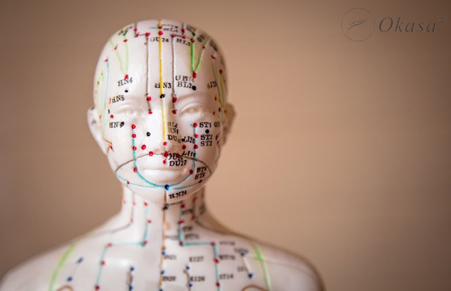 Tìm hiểu về thảo dược và huyệt đạo trong trị liệu