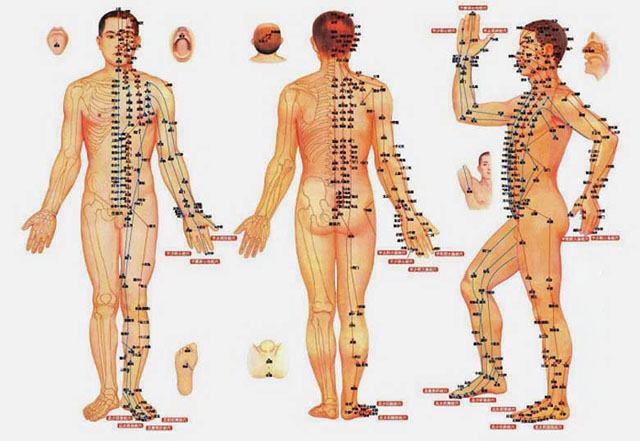 Tìm hiểu về thảo dược và huyệt đạo trong trị liệu