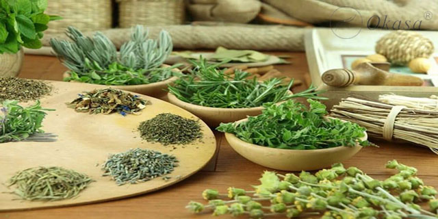 Tìm hiểu về thảo dược và huyệt đạo trong trị liệu