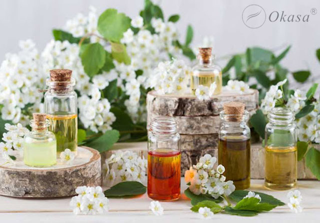 Tìm hiểu về tinh dầu sử dụng trong massage