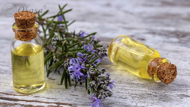 Tinh dầu hương thảo: Tác dụng và cách làm