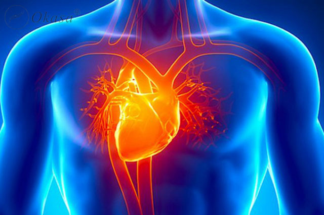 Trụy tim mạch do nguyên nhân nào gây ra