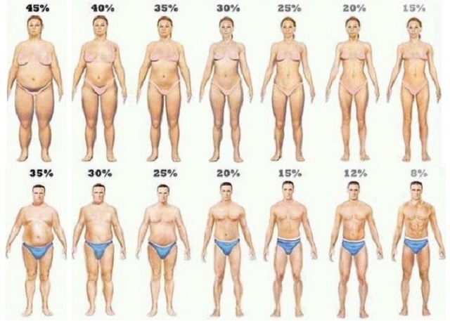 Xác định thừa cân béo phì theo tỷ lệ phần trăm mỡ trong cơ thể